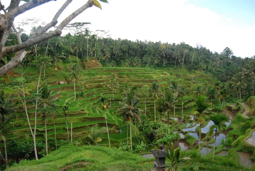 Bali Indonesia