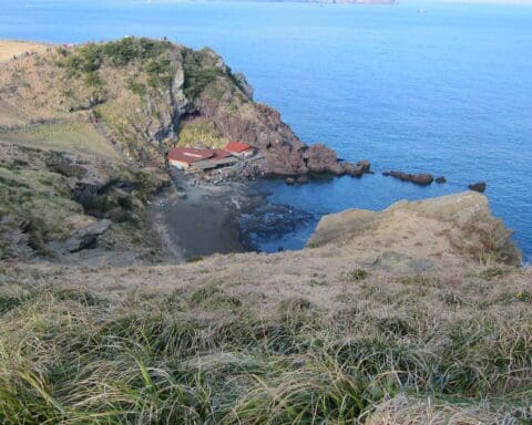 haenyeo jeju women divers korean culture