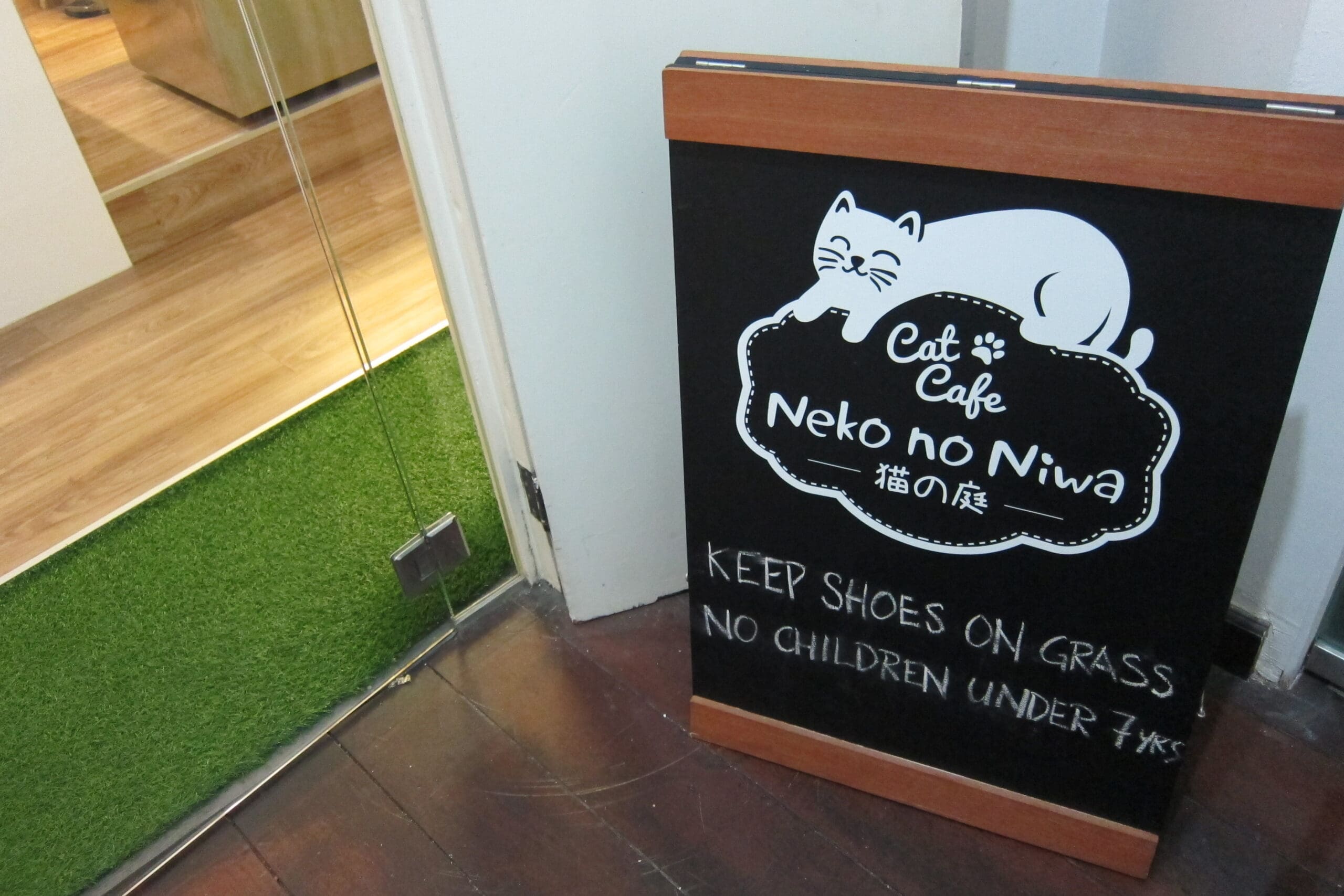 cat cafe