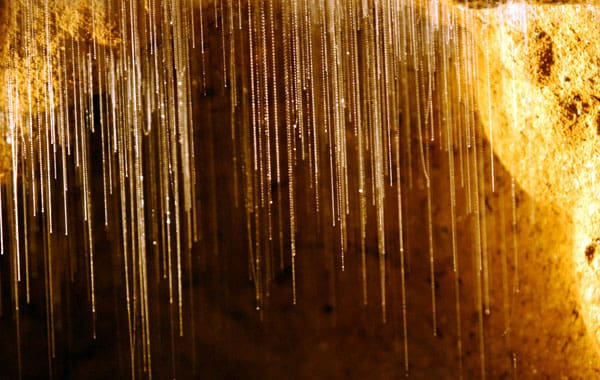 Waitomo Cave