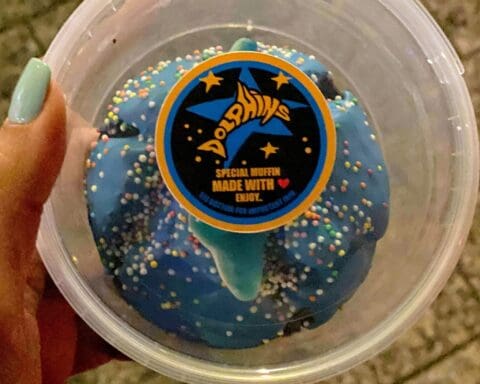 Space Cake Amsterdam