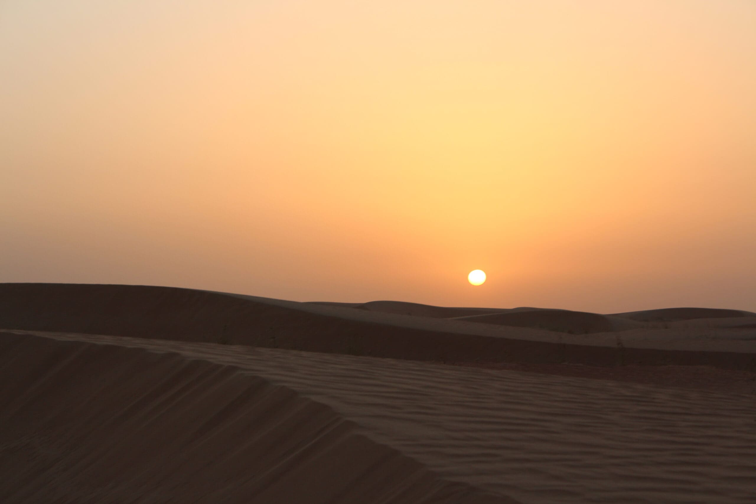 Dubai Diary
