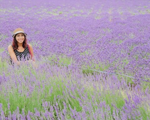 Farm Tomita urano Japan