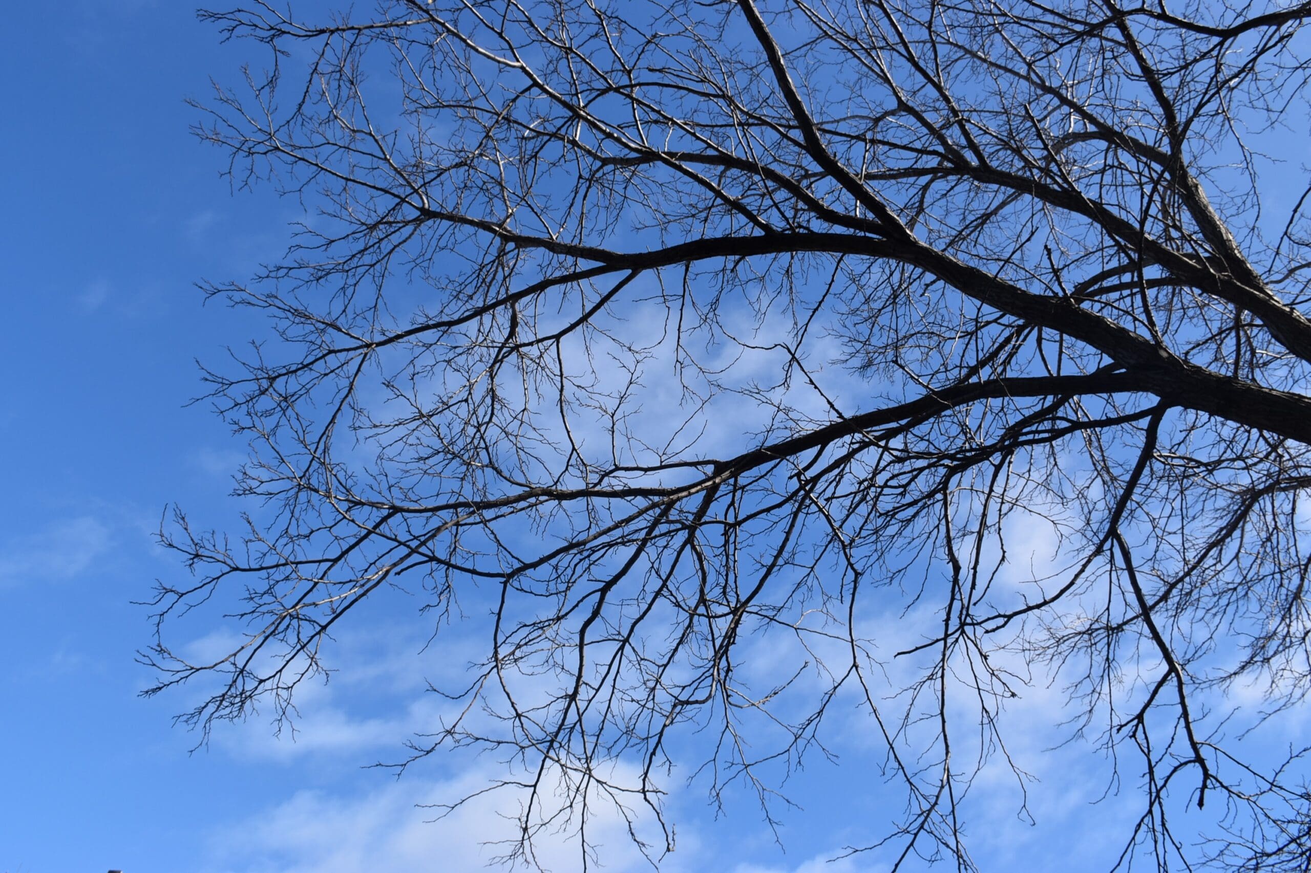 Winter in Melbourne