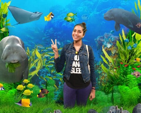 Meeting Dugong At Sydney Aquarium