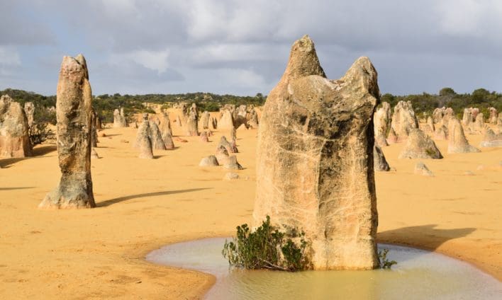 The Pinnacles Perth Western Australia