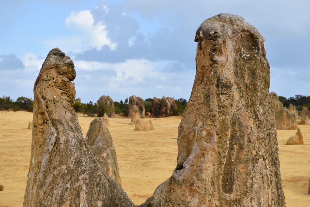 The Pinnacles Perth Western Australia