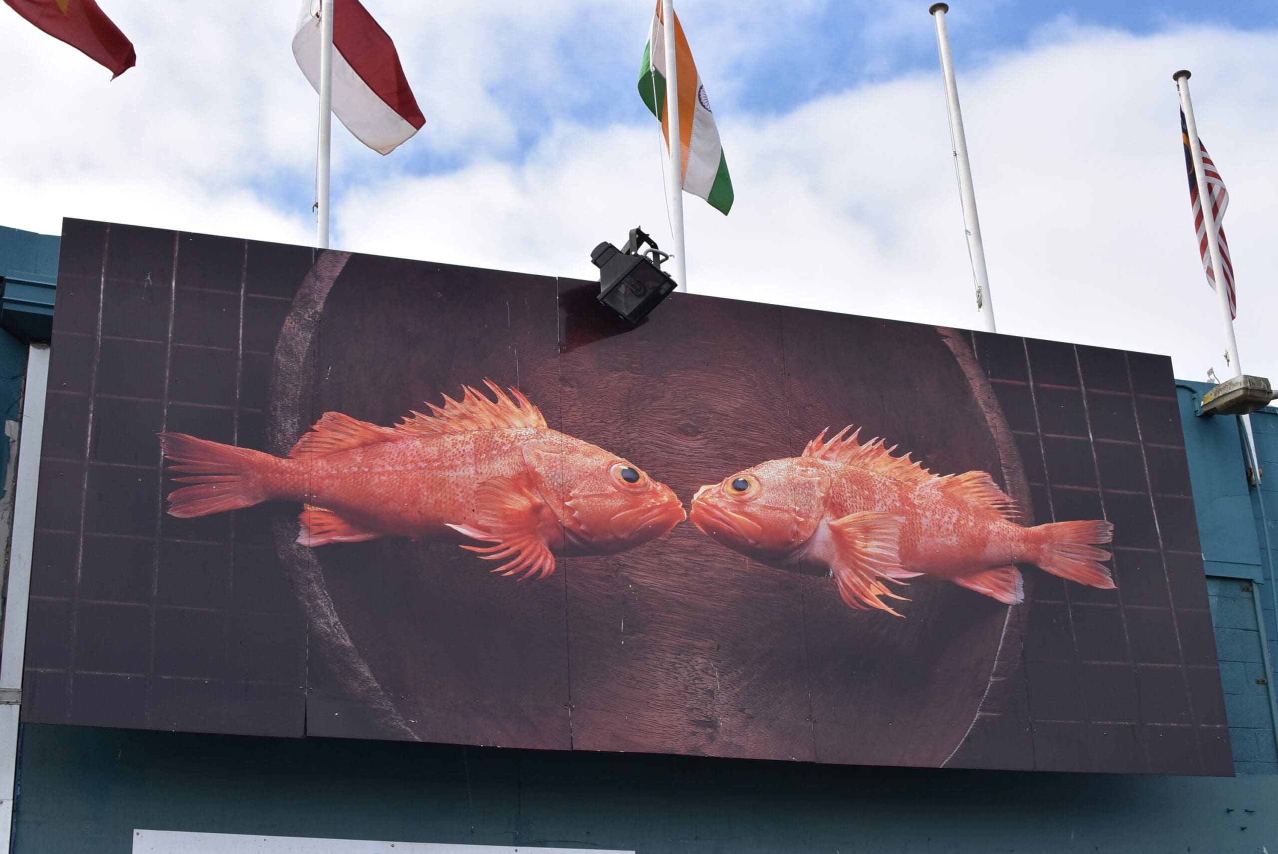 Sydney Fish Market