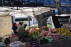 salamanca-market-tasmania-australia