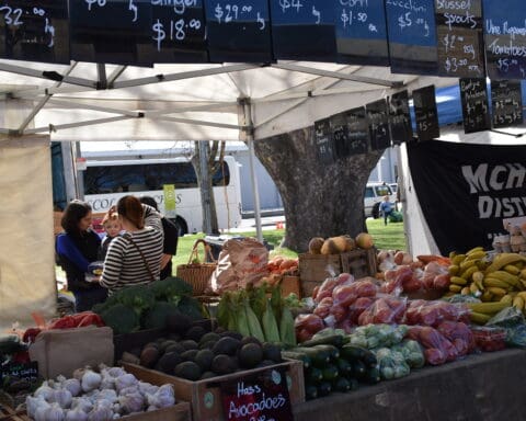 salamanca-market-tasmania-australia