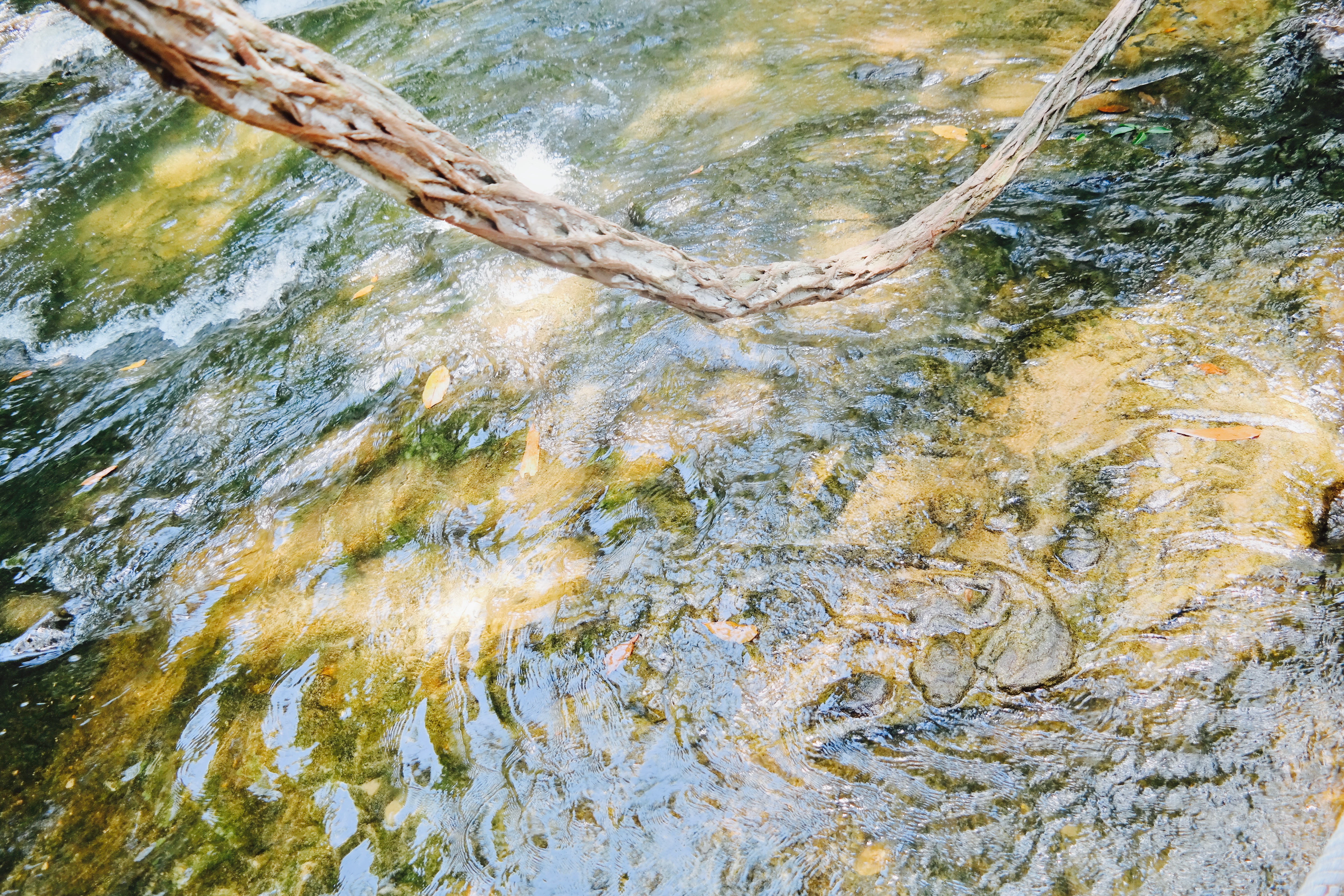 Kbal Spean The River of A Thousand Lingas Siem Reap Cambodia