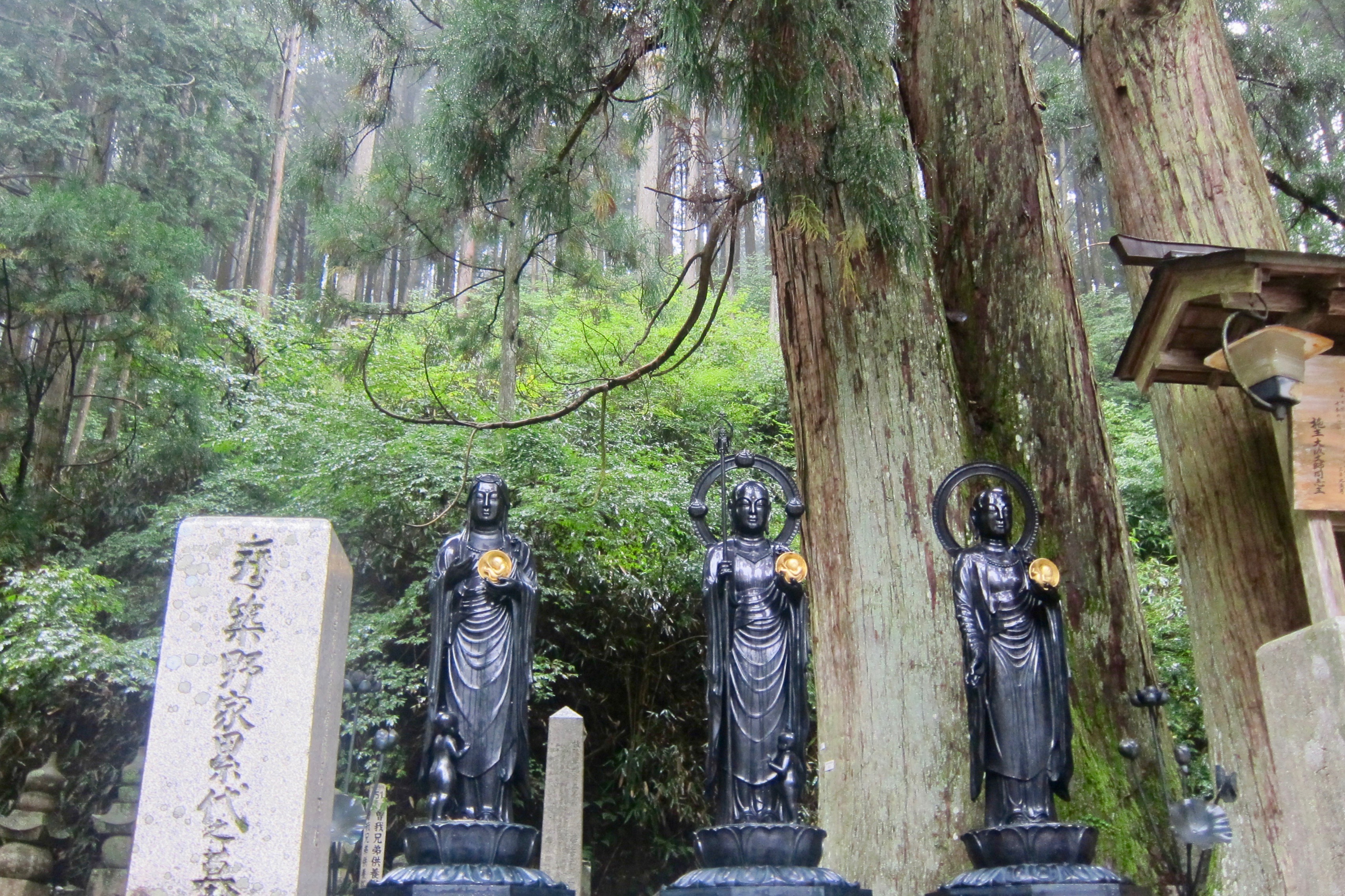 okunoin cemetery Koyasan japan
