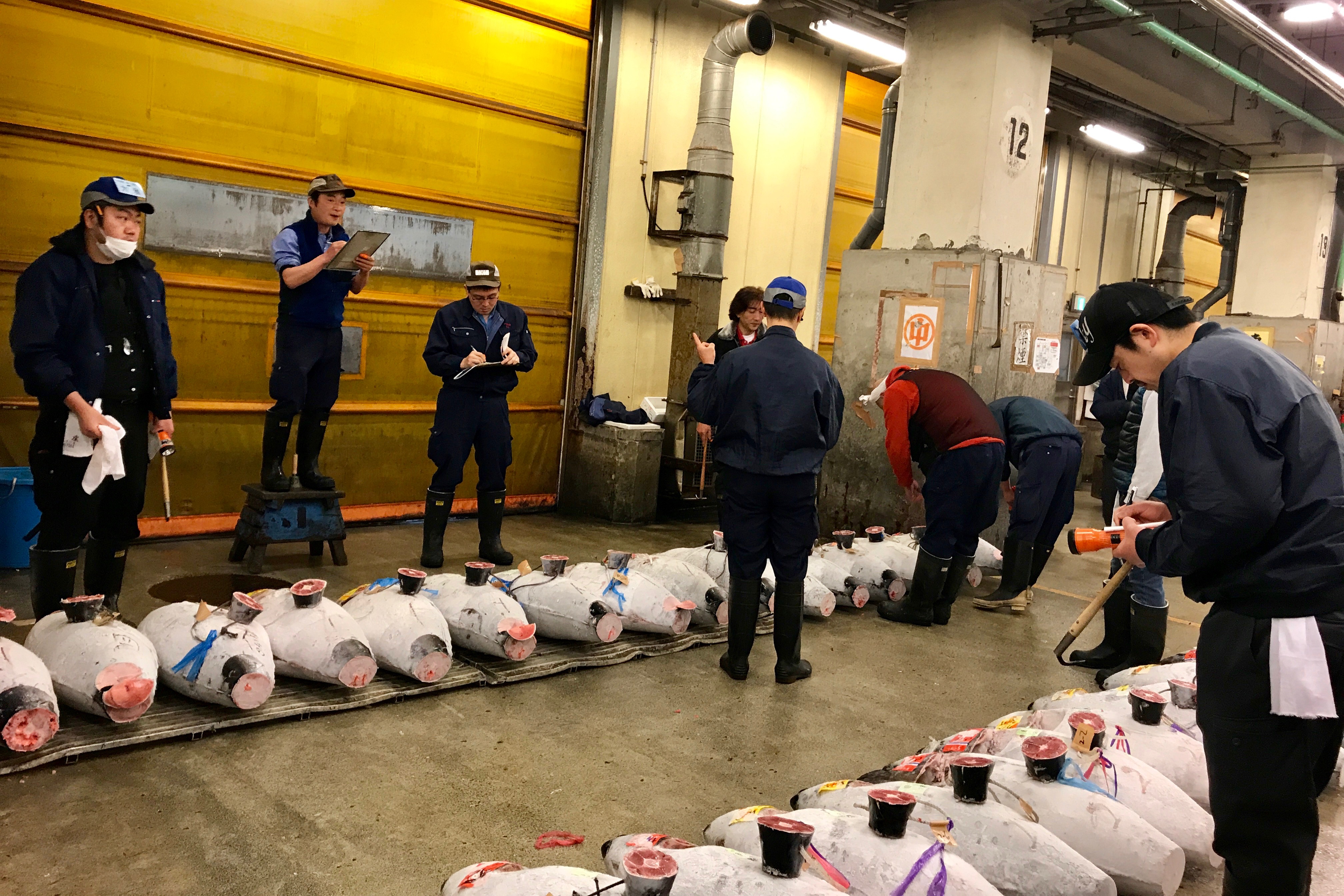 tsukiji market tuna auction