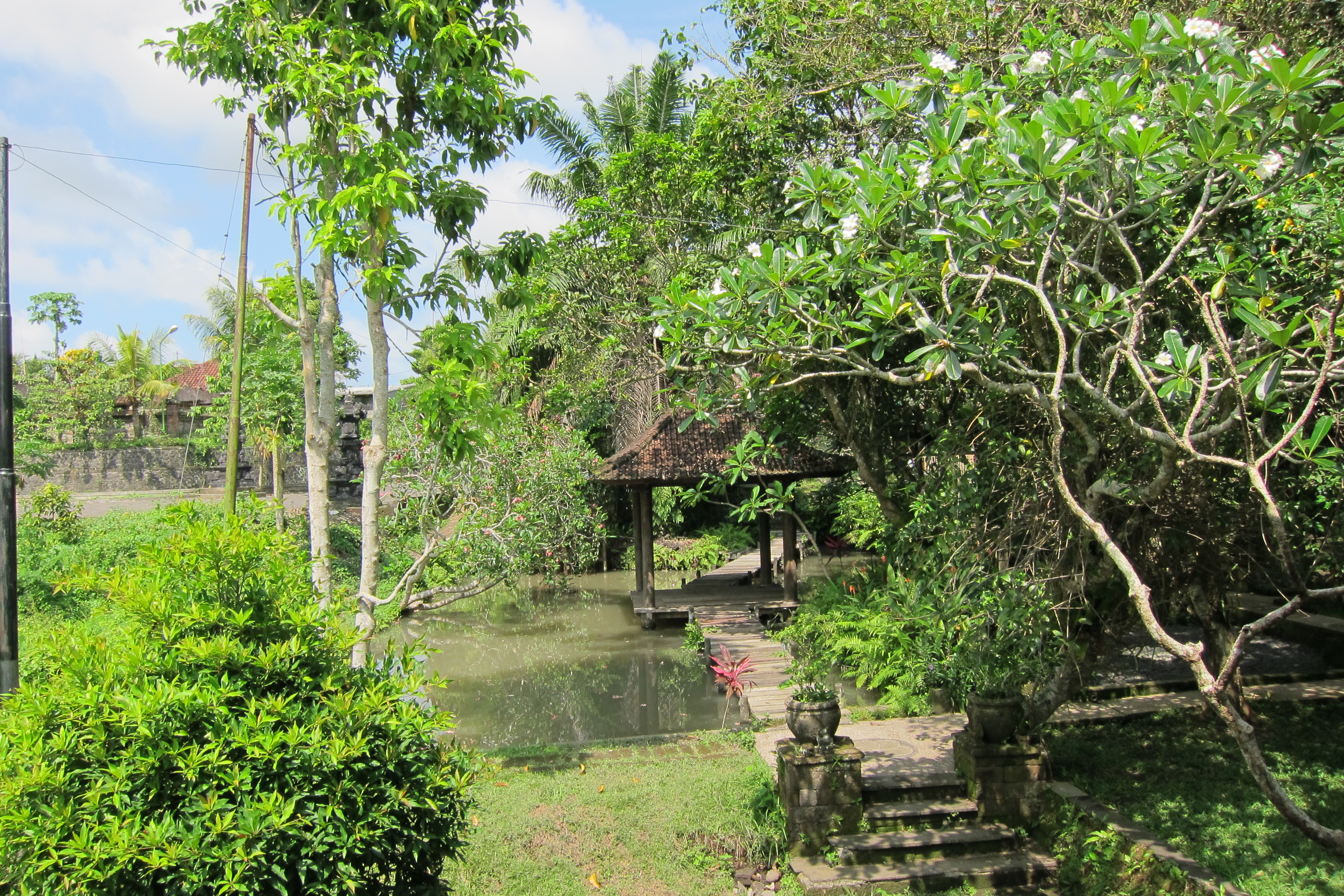 Ubud Cooking Class The Best Way To Taste Bali Culture