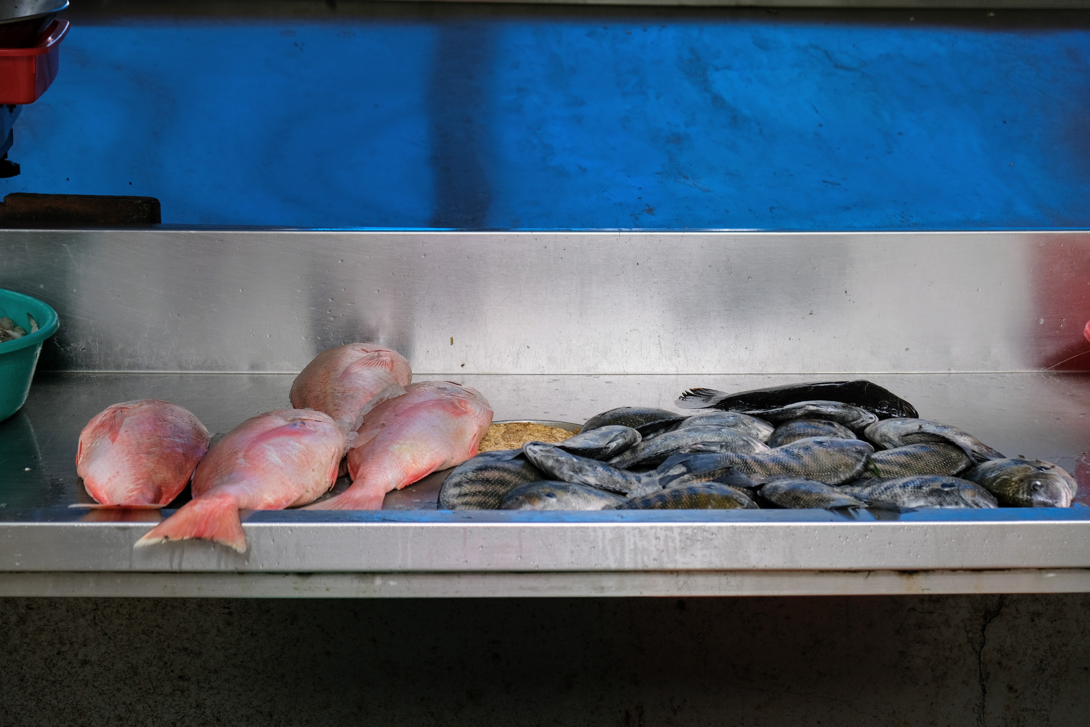 Kerala Fish Market