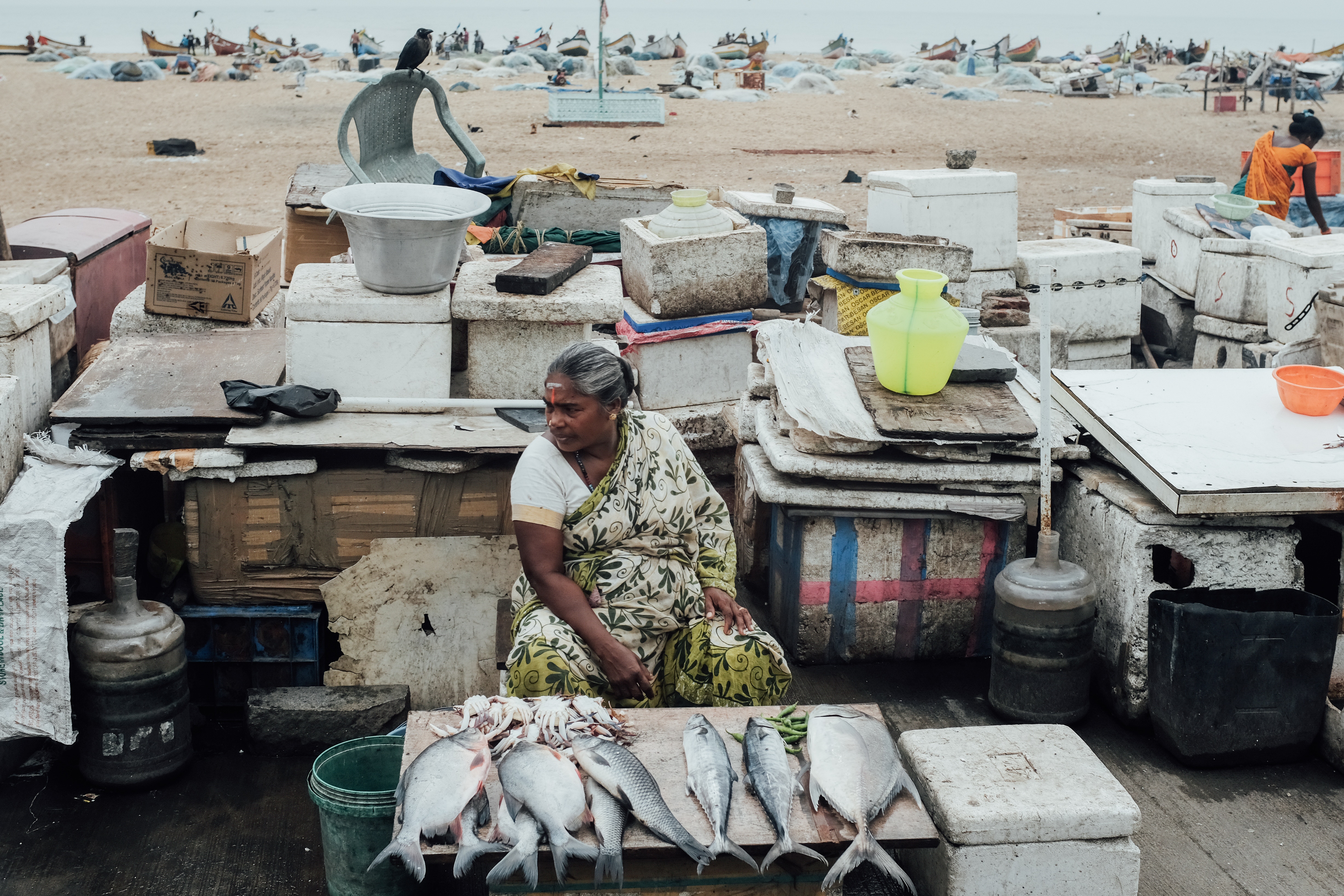 Kerala Fish Market