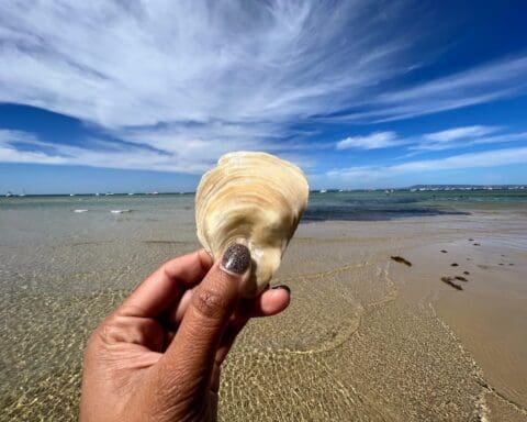 Sorrento Australia Travel Souvenir