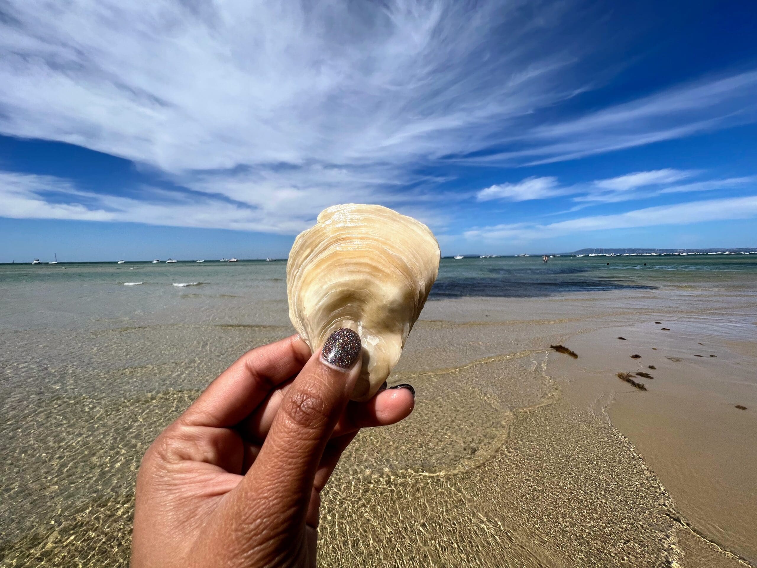 Sorrento Australia Travel Souvenir