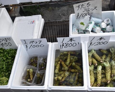 Tsukiji Fish Market