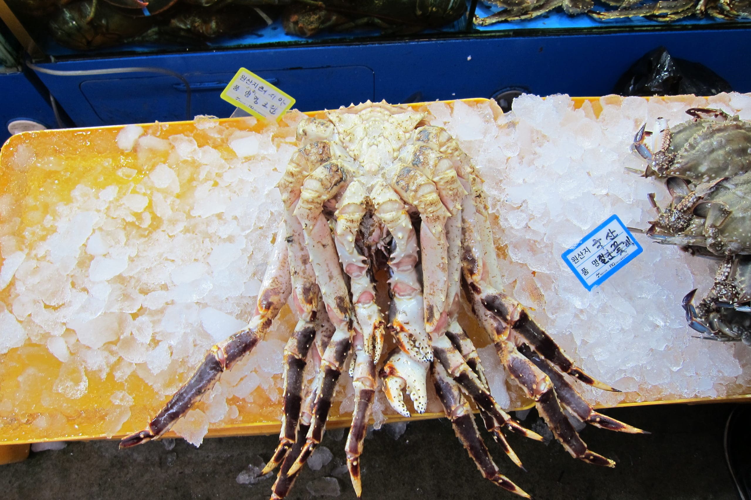 Noryangjin Fish Market Seoul South Korea