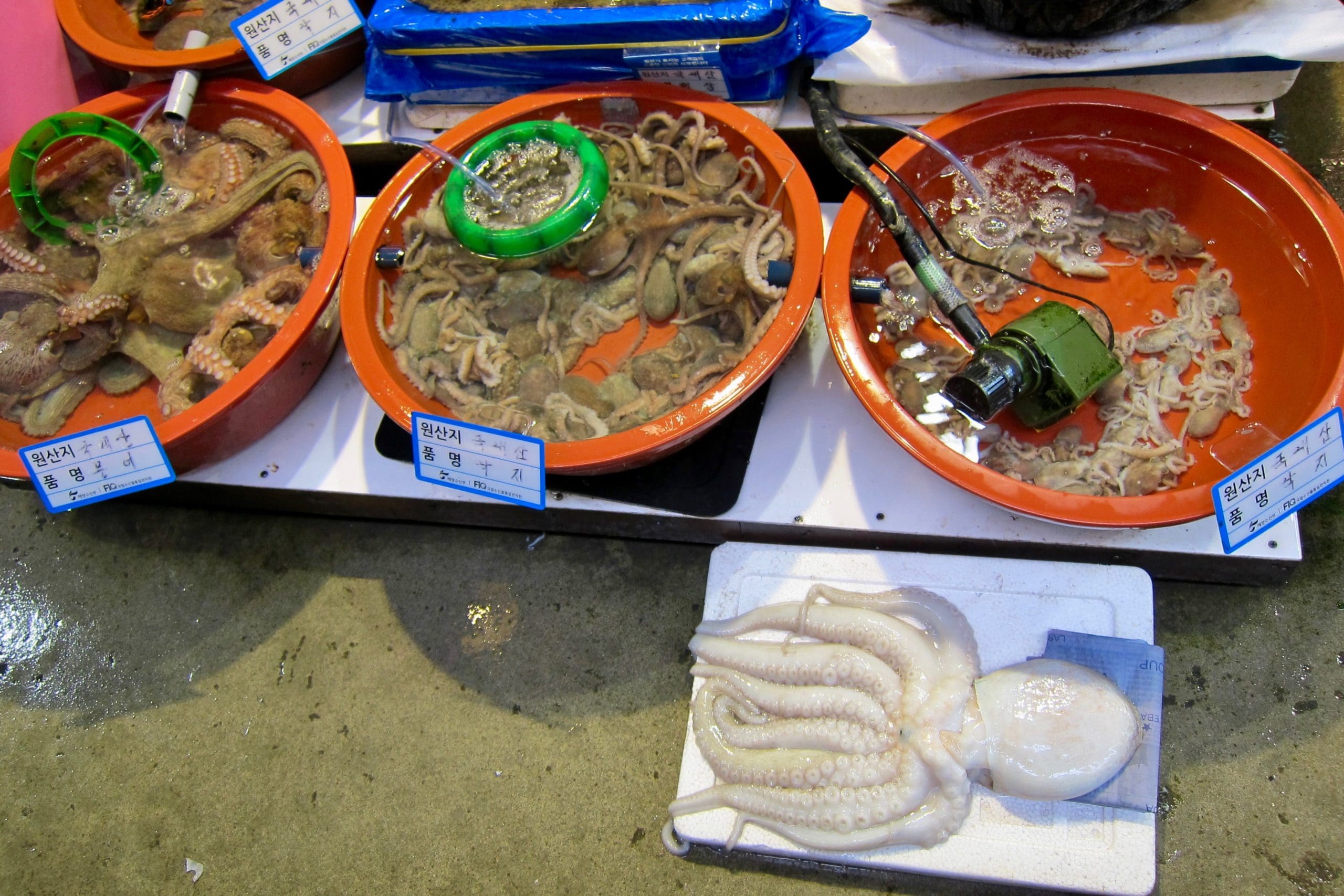 Noryangjin Fish Market Seoul South Korea