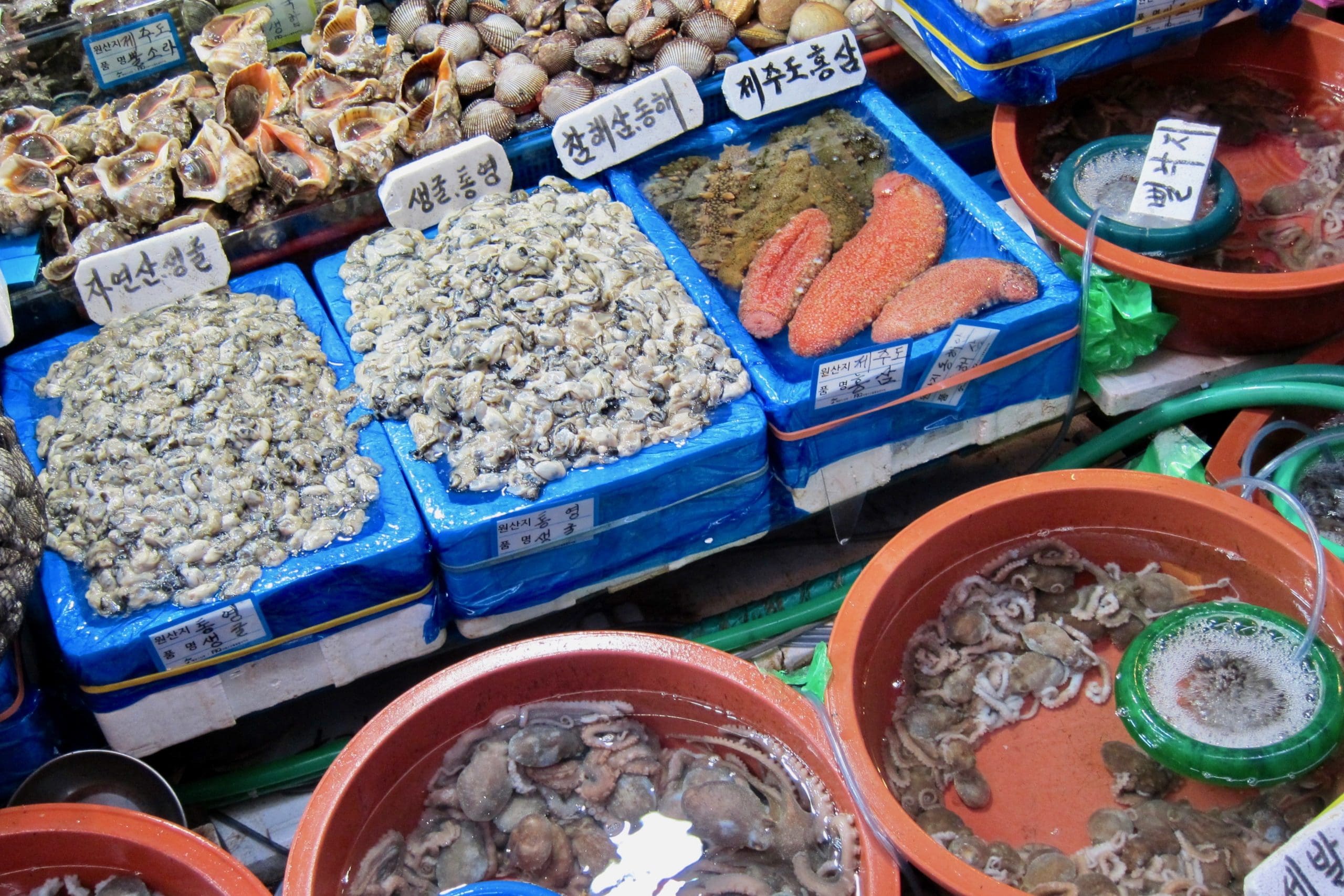 Sannakji Live Octopus Noryangjin Fish Market Seoul South Korea Jagalchi Fish Market