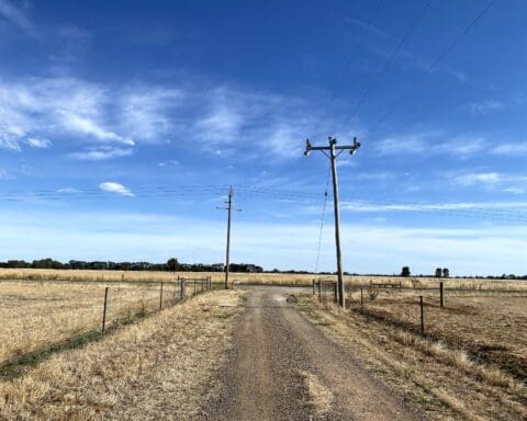 Echuca Farm Stay Diary