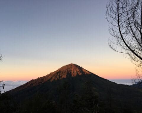 Bromo