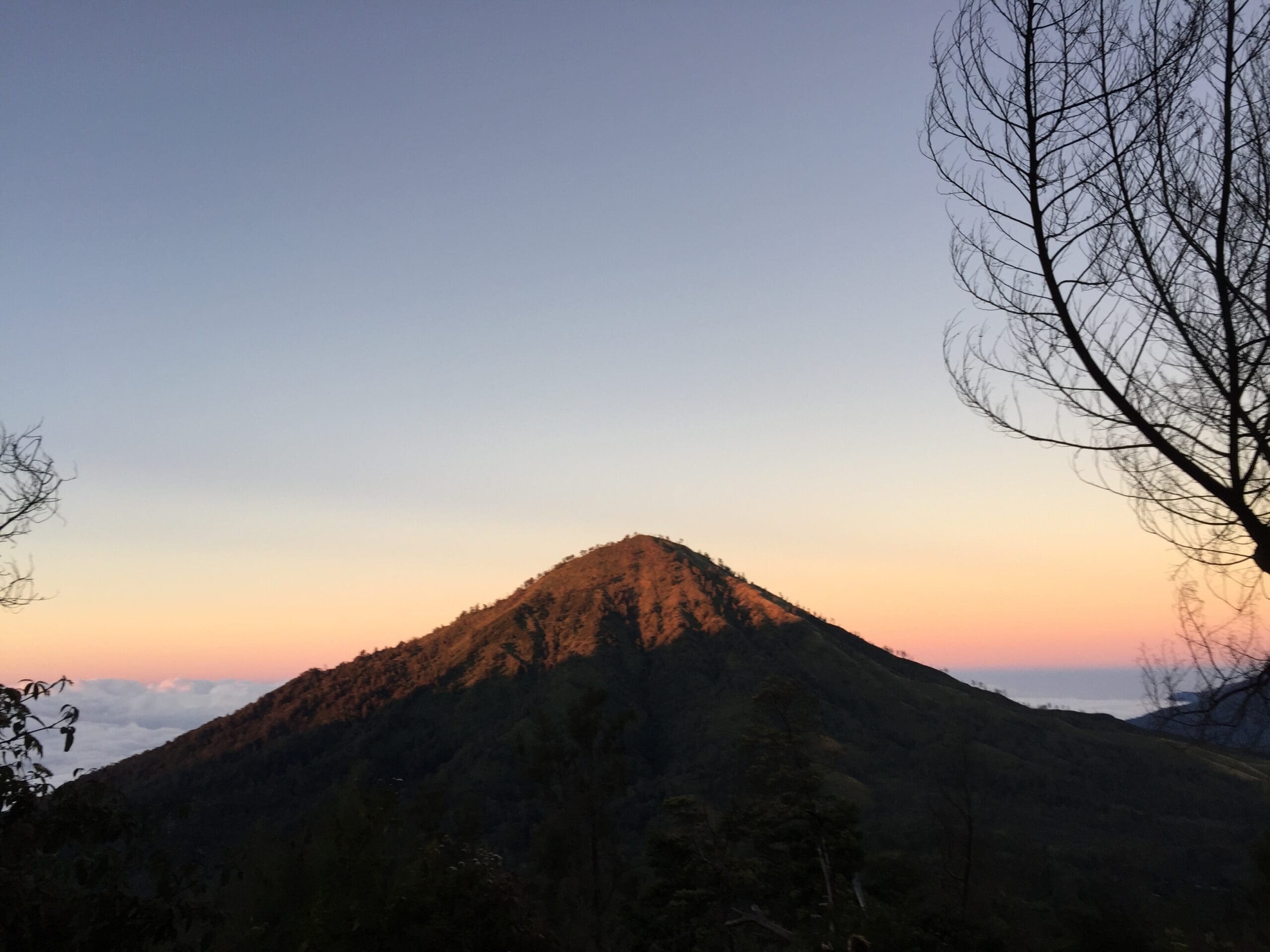 Bromo