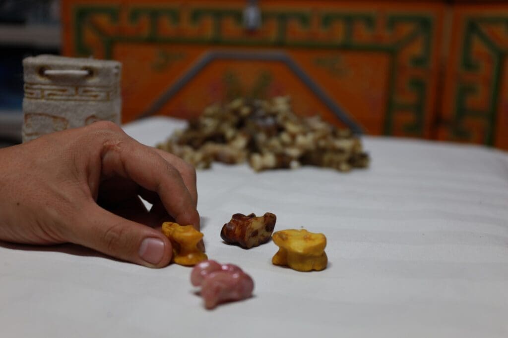 Mongolian Culture Knuckle Bones Fortune Telling