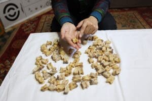 Mongolian Culture Knuckle Bones Fortune Telling