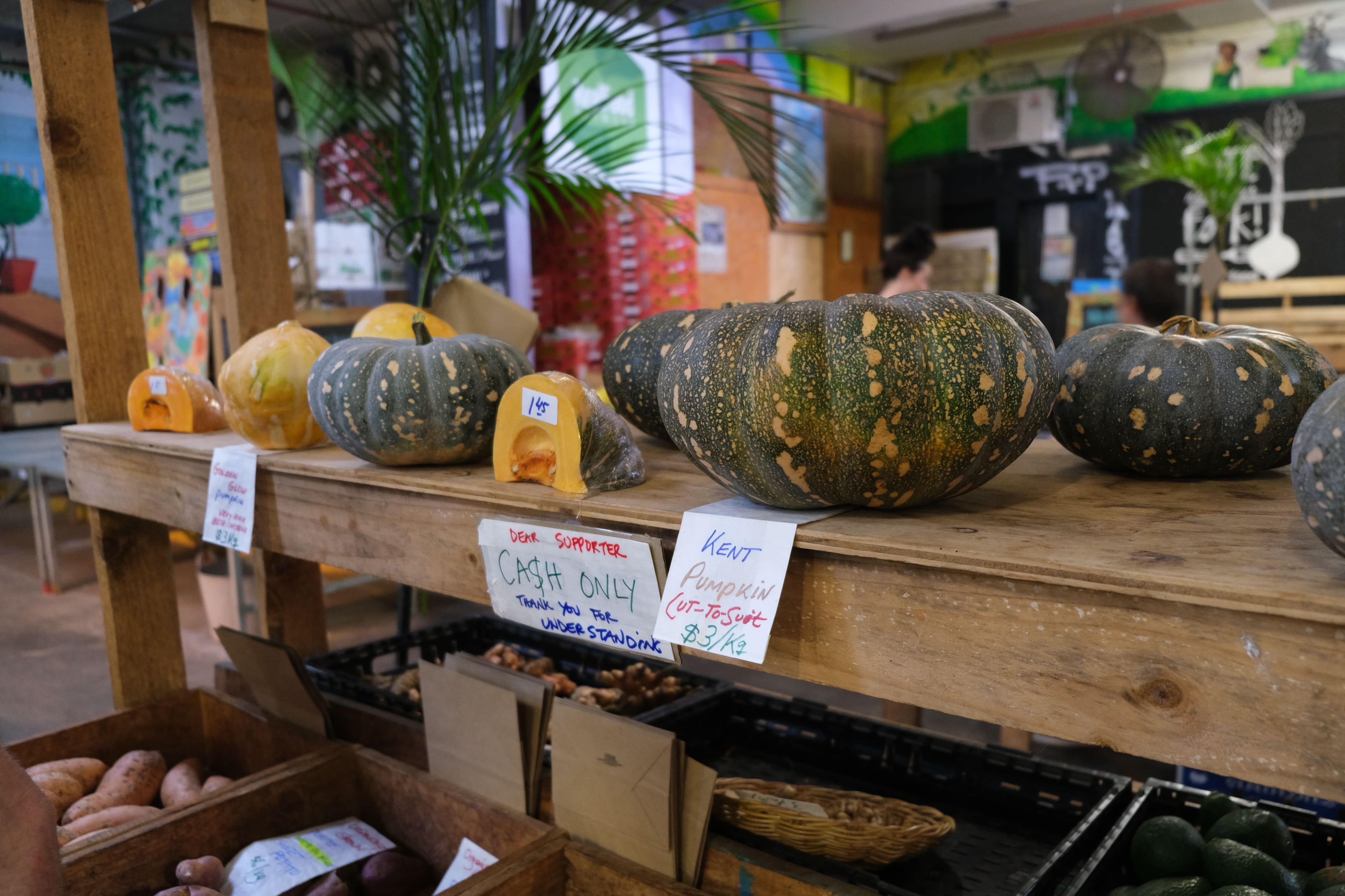 Rustys Market Cairns Queensland Australia