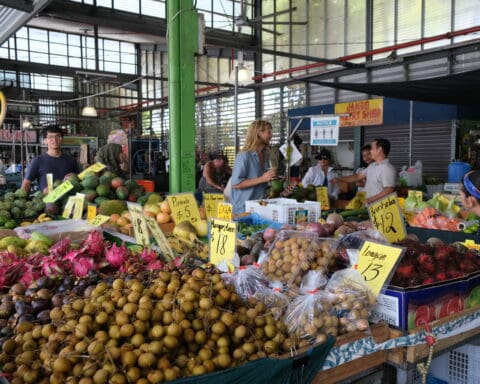 Rustys Market Cairns Queensland Australia