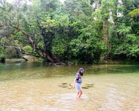 Babinda Boulders Cairns