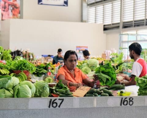 Fiji Local Market Namaka Mini Market