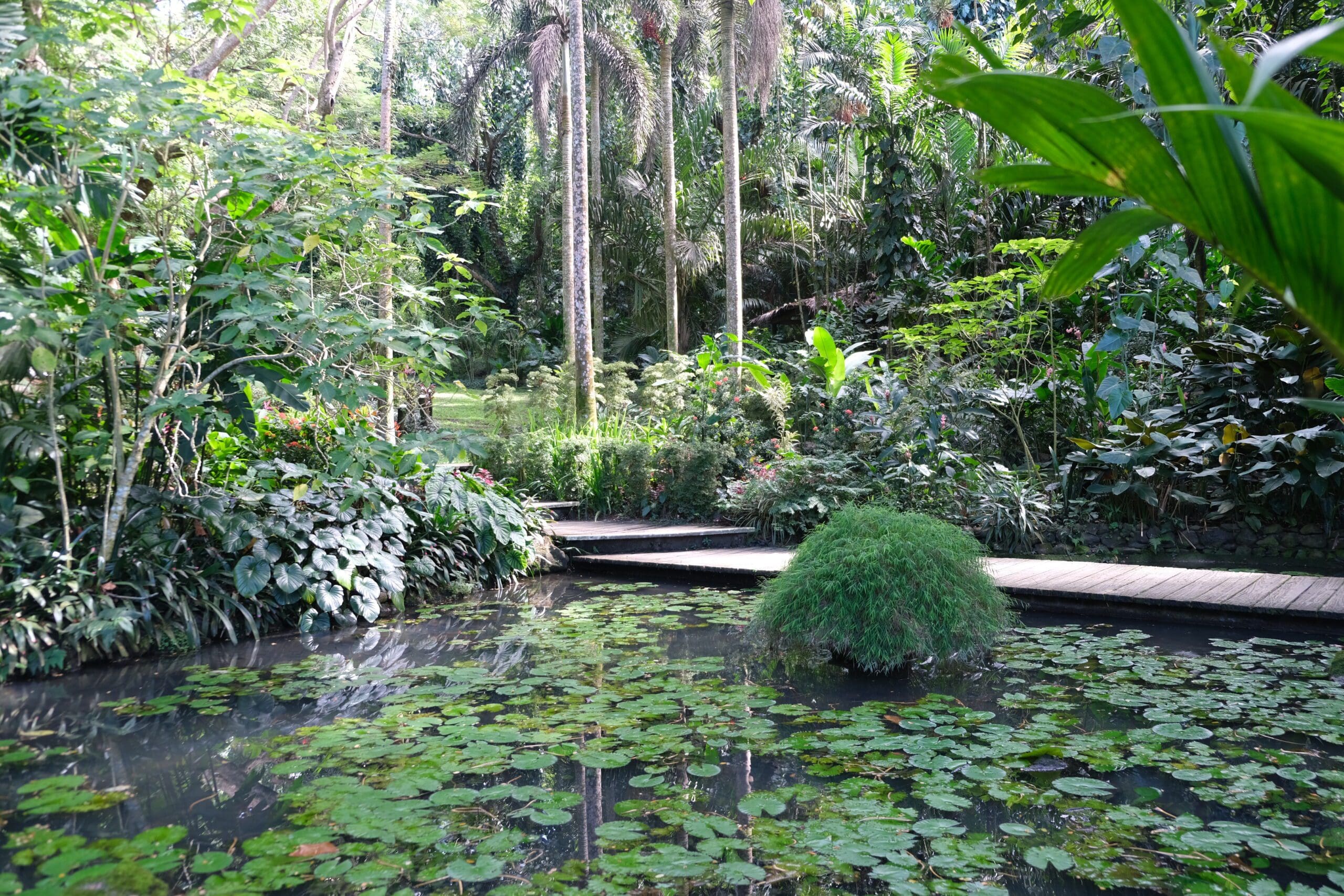 fiji-hindu-temple-sleeping-giant-gardem