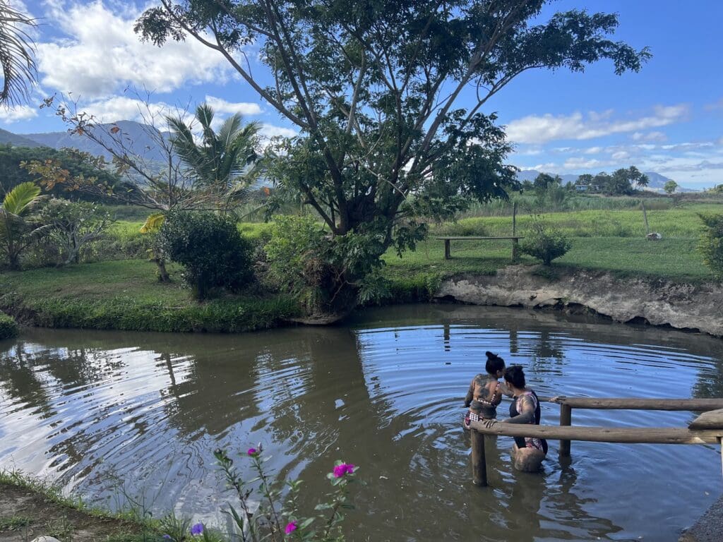 Mud Pool Fiji