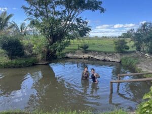 Mud Pool Fiji