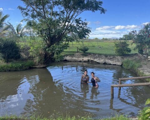 Mud Pool Fiji