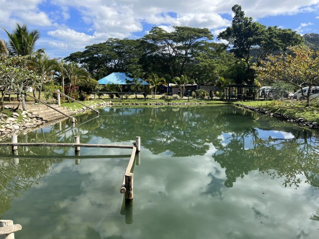 Mud Pool Fiji