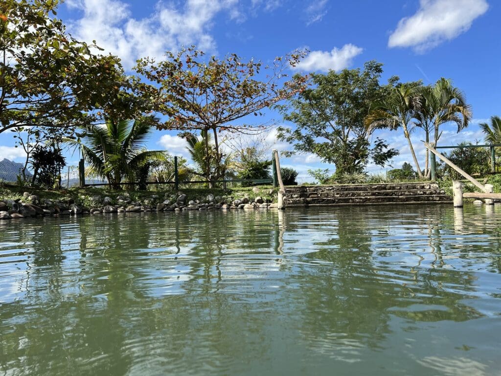 Mud Pool Fiji