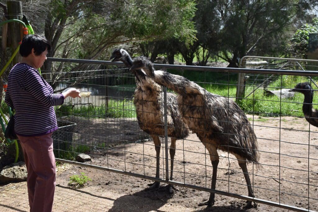 Emu Australia