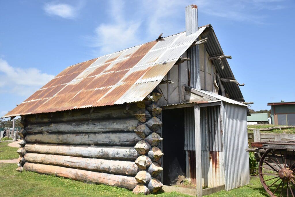 sheep-shearing-australia-rural-living