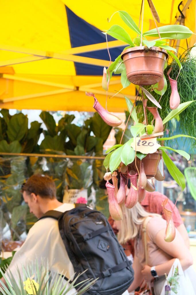 Columbia Road Flower Market London