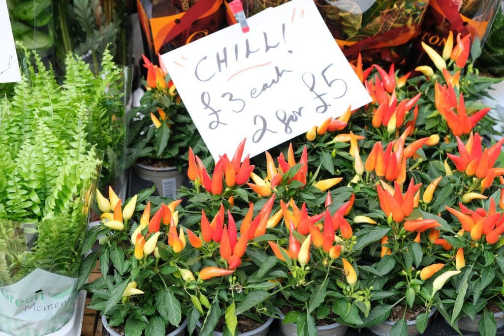 Columbia Road Flower Market London