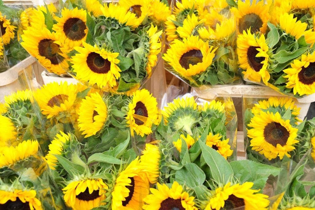 Columbia Road Flower Market London