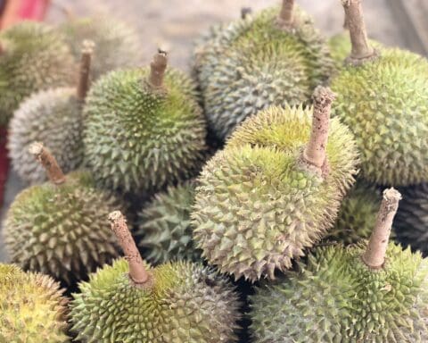 Durian