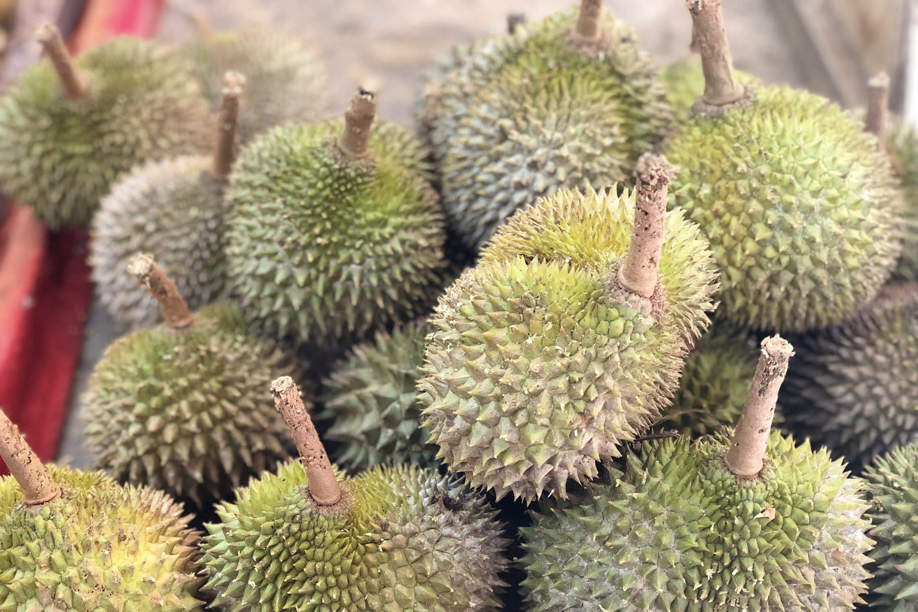 Durian