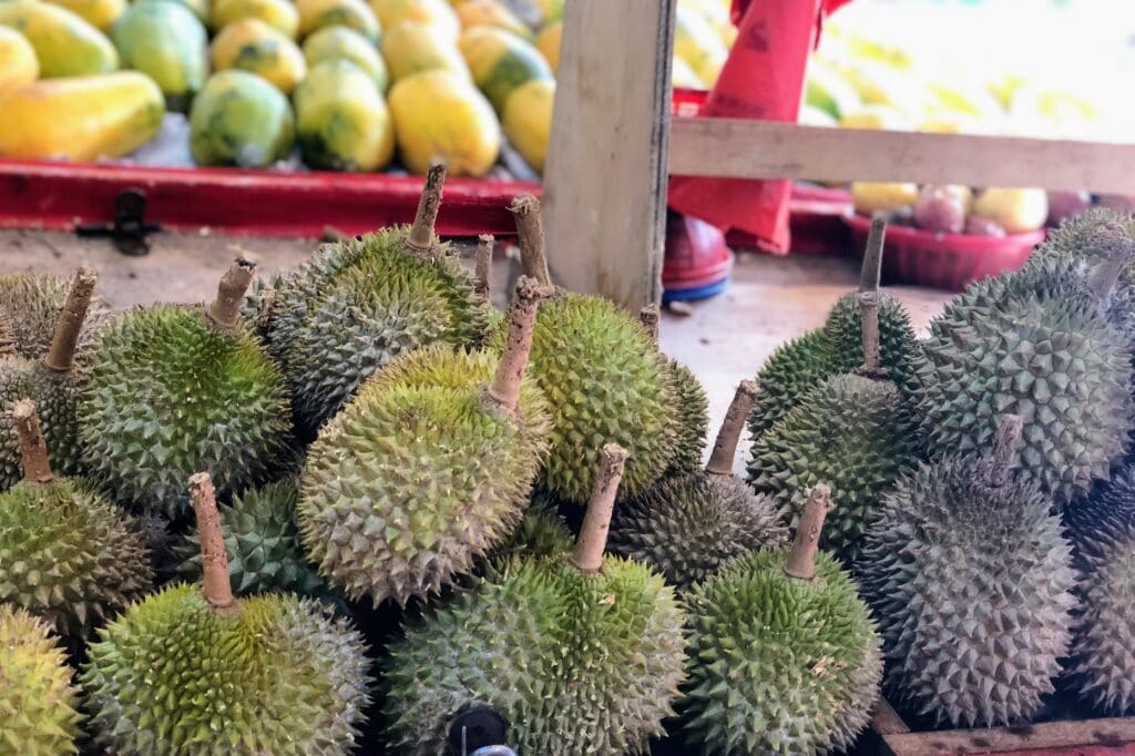 Durian