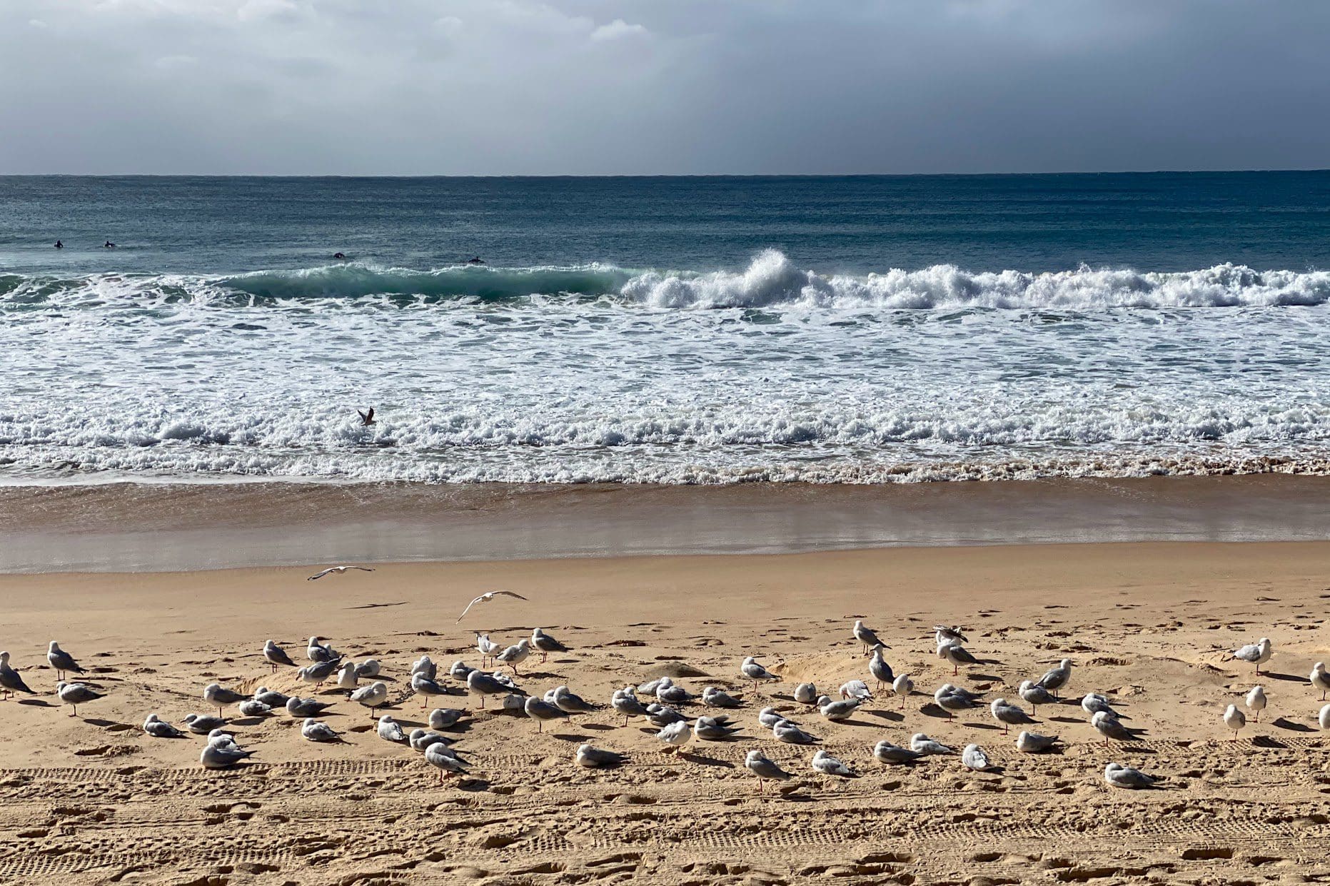 Manly Sydney Australia